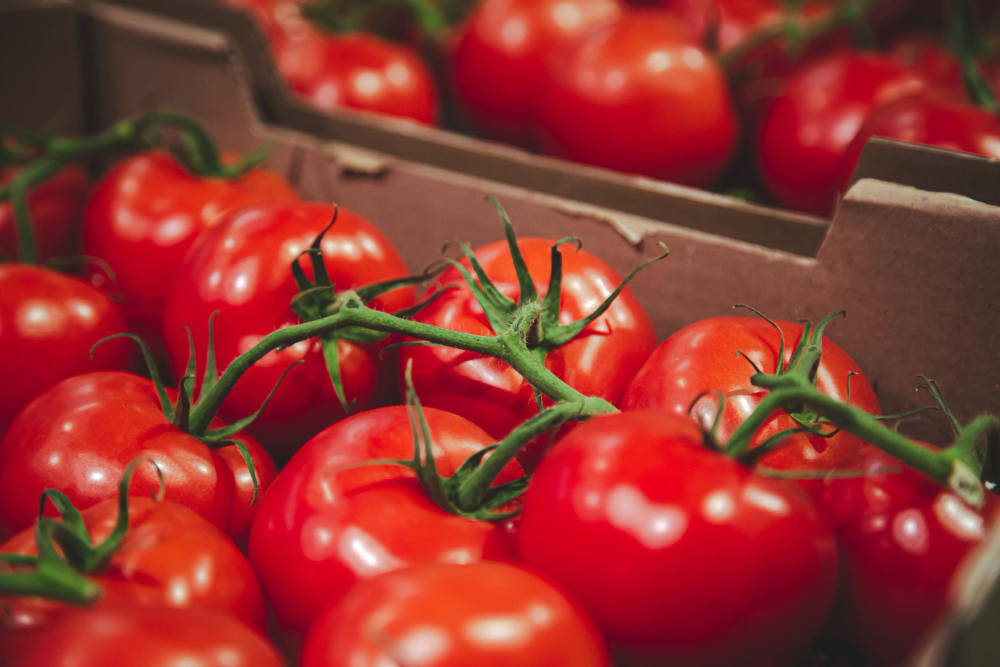 Tomate 